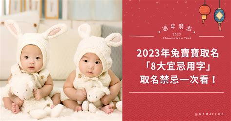 景名字意思 2023兔年寶寶取名